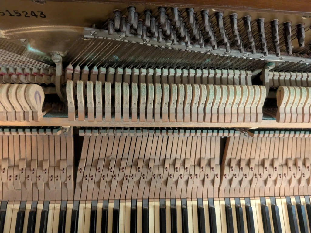 Keep Your Piano in Top Condition – Book Your Service Today!