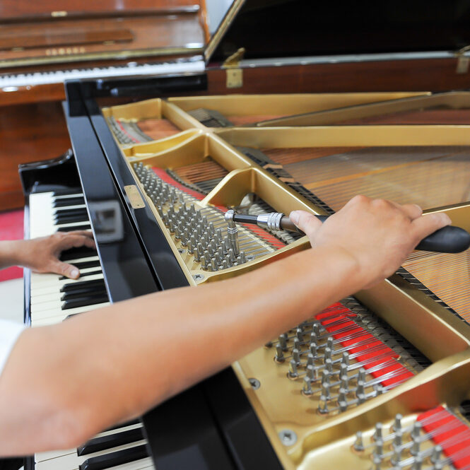 Technician,,Tuning,The,Piano